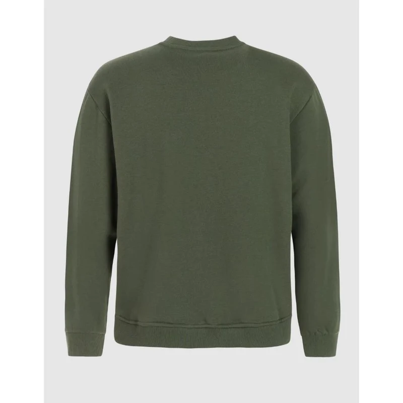 Protest Pidley M thyme Herren Sweatshirt