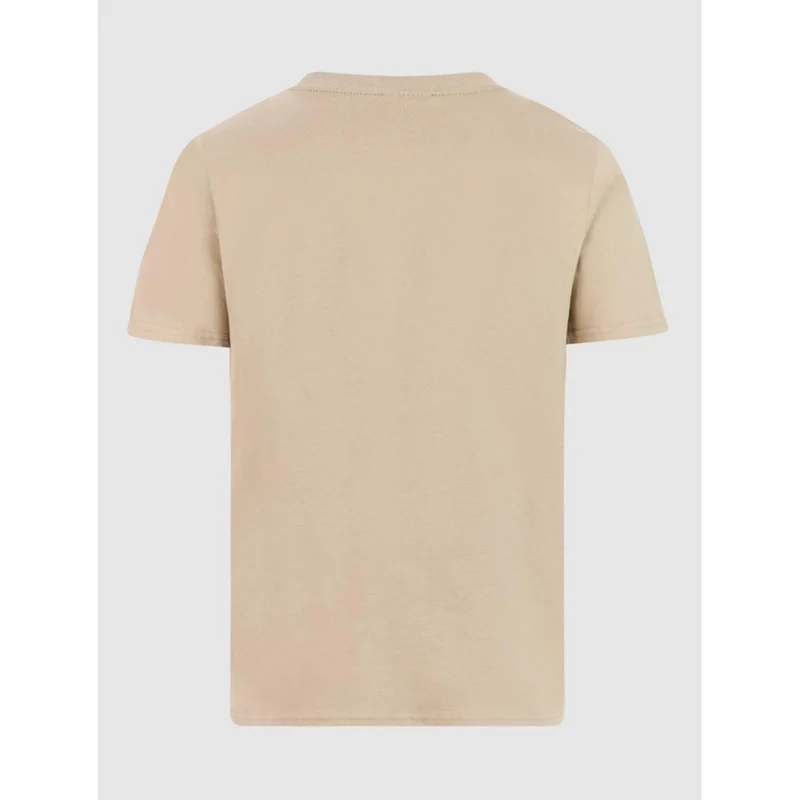Protest Hanwell M bamboo beige Herren T-Shirt